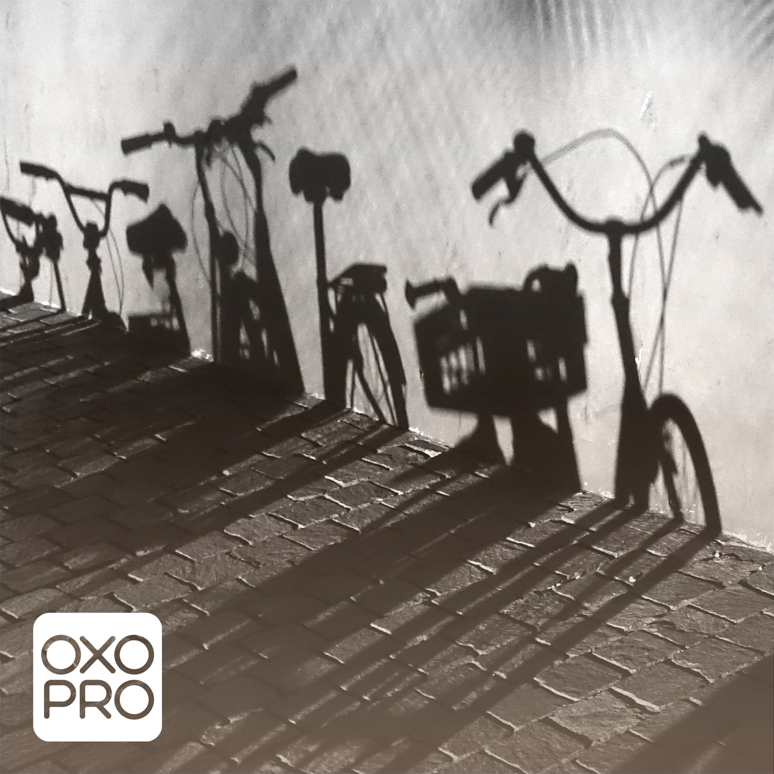 About OXO-PRO